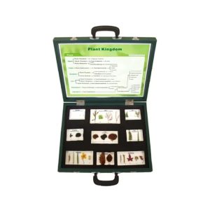 Комплект "Gelsonlab Видове растения в куфар"
